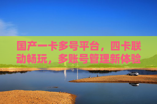 国产一卡多号平台，四卡联动畅玩，多账号管理新体验，国产一卡多号，四卡联动畅玩，多账号管理新体验