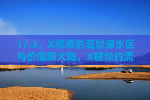 17.3，X视频的流量深水区与价值新大陆，X视频的流量深水区与价值新大陆