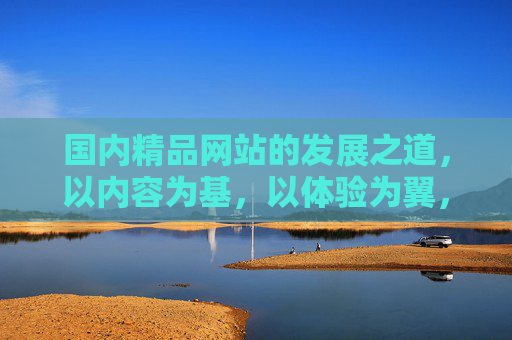国内精品网站的发展之道，以内容为基，以体验为翼，为基，体验为翼，国内精品网站发展之道