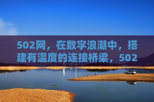 502网，在数字浪潮中，搭建有温度的连接桥梁，502网，数字浪潮中有温度的连接桥梁