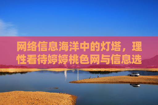 网络信息海洋中的灯塔，理性看待婷婷桃色网与信息选择，网络信息海洋的灯塔，理性看待婷婷桃色网与信息选择