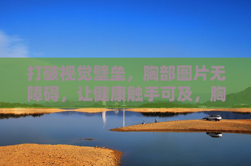 打破视觉壁垒，胸部图片无障碍，让健康触手可及，胸部图片无障碍，打破视觉壁垒，健康触手可及