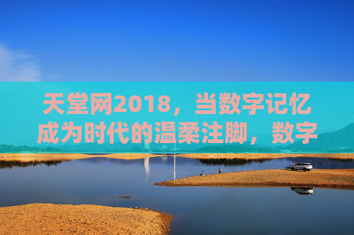天堂网2018，当数字记忆成为时代的温柔注脚，数字记忆，2018时代的温柔注脚