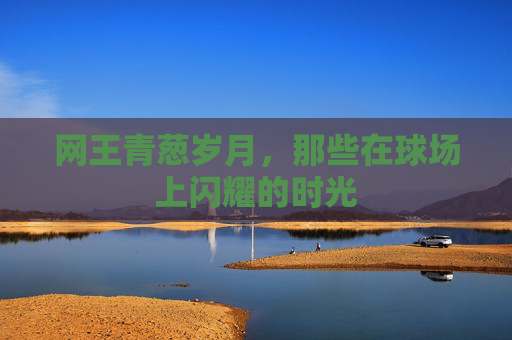网王青葱岁月，那些在球场上闪耀的时光