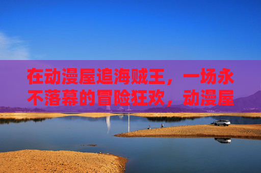 在动漫屋追海贼王，一场永不落幕的冒险狂欢，动漫屋追海贼王，永不落幕的冒险狂欢