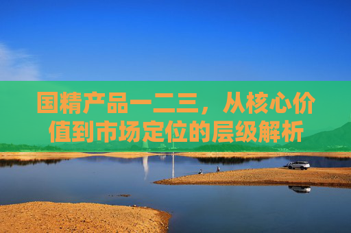 国精产品一二三，从核心价值到市场定位的层级解析