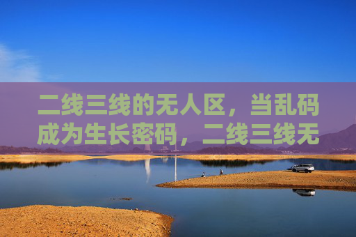 二线三线的无人区，当乱码成为生长密码，二线三线无人区，乱码成生长密码