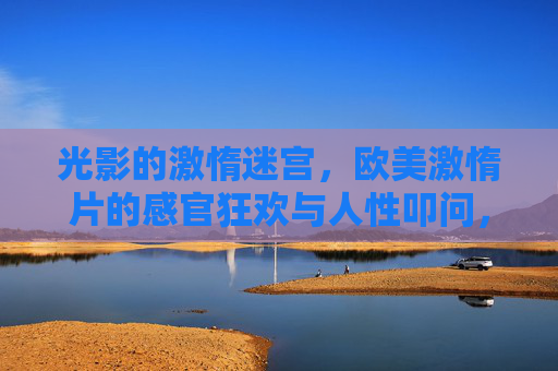 光影的激惰迷宫，欧美激惰片的感官狂欢与人性叩问，光影迷宫，欧美激情片的感官狂欢与人性叩问