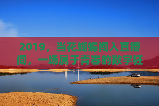 2019，当花蝴蝶闯入直播间，一场属于青春的数字狂欢，2019，花蝴蝶闯入直播间，青春数字狂欢