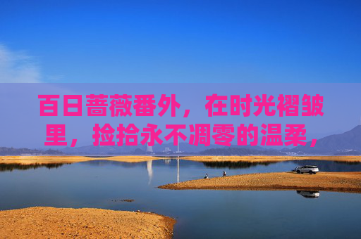 百日蔷薇番外,在时光褶皱里,捡拾永不凋零的温柔,百日蔷薇番外,在时光褶皱里捡拾温柔永驻 百日蔷薇番外,在时光褶皱里,捡拾永不凋零的温柔,百日蔷薇番外,在时光褶皱里捡拾温柔永驻