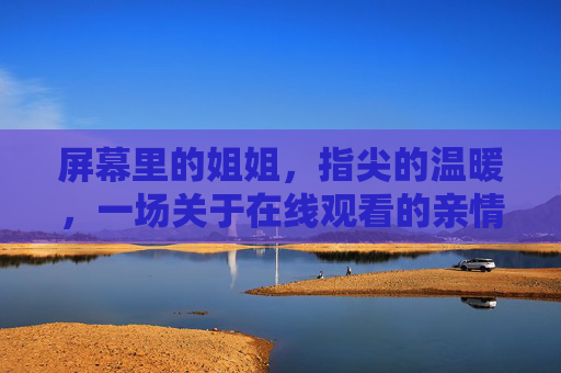 屏幕里的姐姐，指尖的温暖，一场关于在线观看的亲情叙事，屏幕暖指间，姐姐的亲情叙事