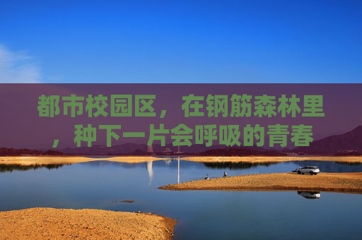都市校园区,在钢筋森林里,种下一片会呼吸的青春 都市校园区,在钢筋森林里,种下一片会呼吸的青春