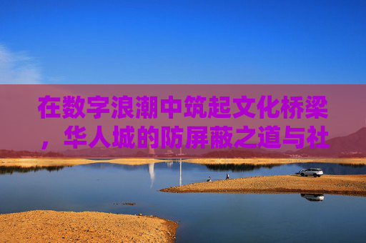 在数字浪潮中筑起文化桥梁，华人城的防屏蔽之道与社区韧性，数字浪潮中的华人城，筑文化桥梁，强社区韧性