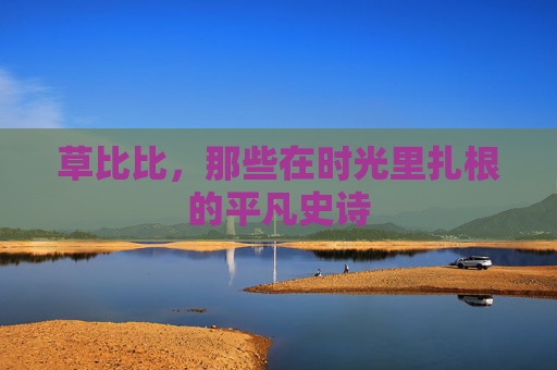 草比比,那些在时光里扎根的平凡史诗 草比比,那些在时光里扎根的平凡史诗