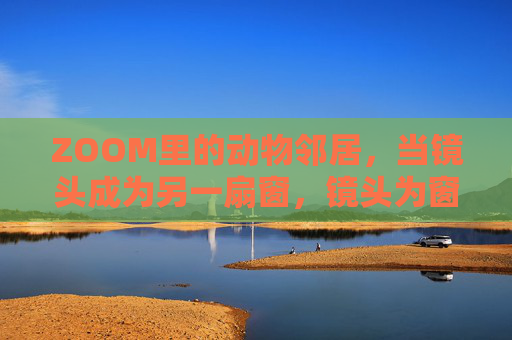 ZOOM里的动物邻居,当镜头成为另一扇窗,镜头为窗,遇见ZOOM动物邻居 ZOOM里的动物邻居,当镜头成为另一扇窗,镜头为窗,遇见ZOOM动物邻居
