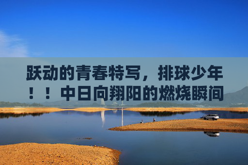 跃动的青春特写,排球少年!!中日向翔阳的燃烧瞬间,日向翔阳,排球少年的燃烧青春特写 跃动的青春特写,排球少年!!中日向翔阳的燃烧瞬间,日向翔阳,排球少年的燃烧青春特写