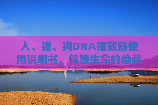 人、猪、狗DNA播放器使用说明书，解锁生命的隐藏频道，DNA播放器使用说明书，解锁生命的隐藏频道