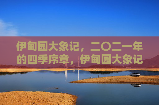 伊甸园大象记,二〇二一年的四季序章,伊甸园大象记,二〇二一年四季序章 伊甸园大象记,二〇二一年的四季序章,伊甸园大象记,二〇二一年四季序章