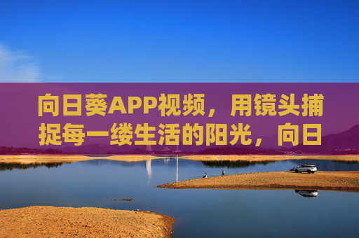 向日葵APP视频，用镜头捕捉每一缕生活的阳光，向日葵APP，捕捉每一缕生活阳光