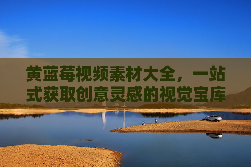 黄蓝莓视频素材大全，一站式获取创意灵感的视觉宝库，黄蓝莓视频素材库，一站式创意灵感视觉宝库