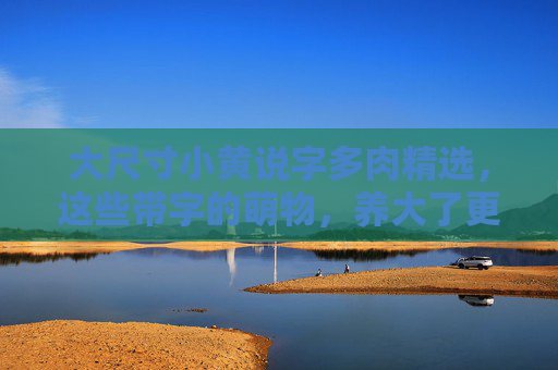大尺寸小黄说字多肉精选，这些带字的萌物，养大了更惊艳！
