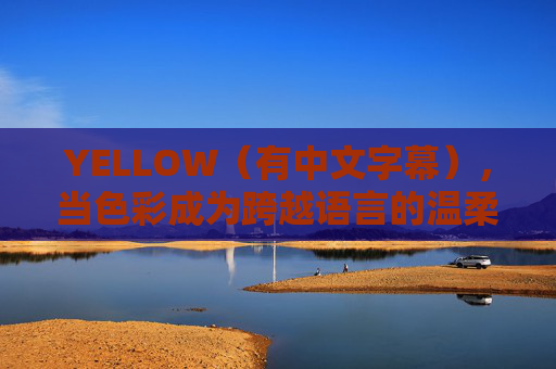 YELLOW（有中文字幕），当色彩成为跨越语言的温柔注脚，YELLOW，当色彩成为跨越语言的温柔注脚