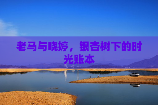 老马与晓婷，银杏树下的时光账本