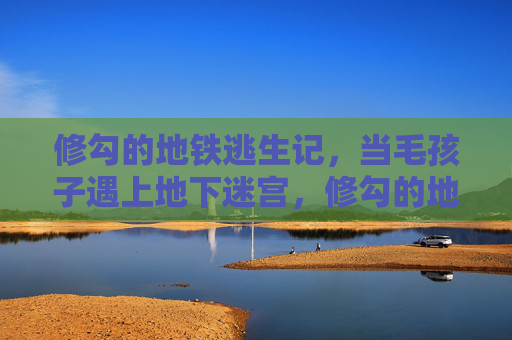 修勾的地铁逃生记,当毛孩子遇上地下迷宫,修勾的地铁迷宫逃生记 修勾的地铁逃生记,当毛孩子遇上地下迷宫,修勾的地铁迷宫逃生记