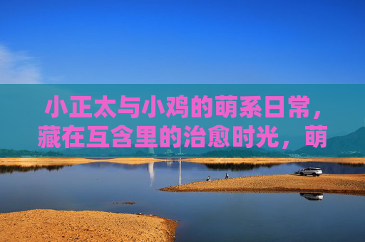 小正太与小鸡的萌系日常，藏在互含里的治愈时光，萌系治愈，小正太与小鸡的互含日常