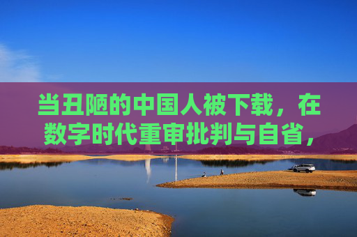 当丑陋的中国人被下载,在数字时代重审批判与自省,数字时代丑陋的中国人,重审批判与自省 当丑陋的中国人被下载,在数字时代重审批判与自省,数字时代丑陋的中国人,重审批判与自省