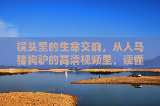 镜头里的生命交响，从人马猪狗驴的高清视频里，读懂共生的温度，生命交响，镜头里的共生温度
