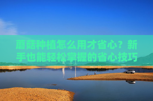 蘑菇种植怎么用才省心?新手也能轻松掌握的省心技巧,蘑菇种植省心指南,新手也能轻松掌握的技巧 蘑菇种植怎么用才省心?新手也能轻松掌握的省心技巧,蘑菇种植省心指南,新手也能轻松掌握的技巧