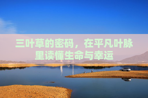 三叶草的密码，在平凡叶脉里读懂生命与幸运