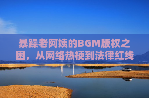 暴躁老阿姨的BGM版权之困,从网络热梗到法律红线,暴躁老阿姨的BGM版权之困,从网络热梗到法律红线 暴躁老阿姨的BGM版权之困,从网络热梗到法律红线,暴躁老阿姨的BGM版权之困,从网络热梗到法律红线