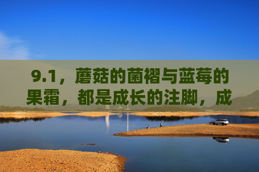 9.1,蘑菇的菌褶与蓝莓的果霜,都是成长的注脚,成长的注脚,菌褶与果霜 9.1,蘑菇的菌褶与蓝莓的果霜,都是成长的注脚,成长的注脚,菌褶与果霜