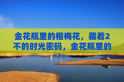 金花瓶里的楷梅花,藏着2不的时光密码,金花瓶里的楷梅花,不可复刻的时光密码 金花瓶里的楷梅花,藏着2不的时光密码,金花瓶里的楷梅花,不可复刻的时光密码