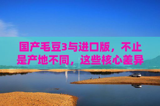 国产毛豆3与进口版,不止是产地不同,这些核心差异影响你的选择,国产毛豆3与进口版,不止产地不同,核心差异决定你的选择 国产毛豆3与进口版,不止是产地不同,这些核心差异影响你的选择,国产毛豆3与进口版,不止产地不同,核心差异决定你的选择