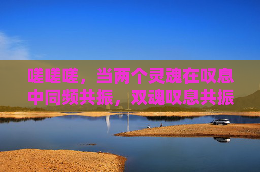 嗟嗟嗟,当两个灵魂在叹息中同频共振,双魂叹息共振 嗟嗟嗟,当两个灵魂在叹息中同频共振,双魂叹息共振