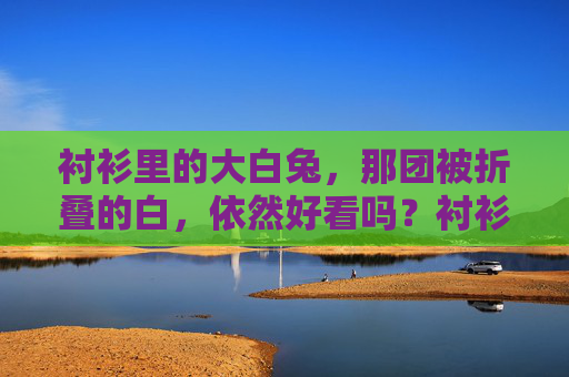 衬衫里的大白兔,那团被折叠的白,依然好看吗?衬衫里的大白兔,被折叠的白,依然好看吗? 衬衫里的大白兔,那团被折叠的白,依然好看吗?衬衫里的大白兔,被折叠的白,依然好看吗?