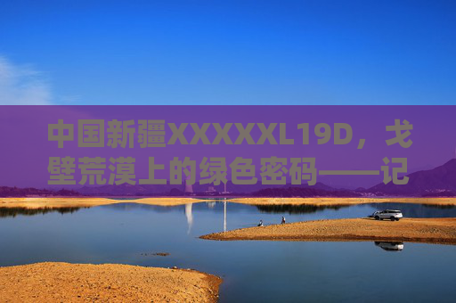 中国新疆XXXXXL19D,戈壁荒漠上的绿色密码——记新疆高效节水灌溉技术的创新突破,戈壁荒漠的绿色密码,新疆高效节水灌溉技术创新突破 中国新疆XXXXXL19D,戈壁荒漠上的绿色密码——记新疆高效节水灌溉技术的创新突破,戈壁荒漠的绿色密码,新疆高效节水灌溉技术创新突破
