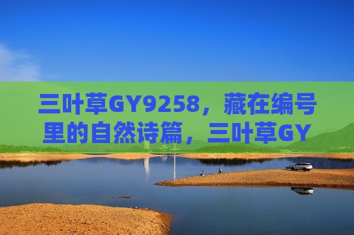 三叶草GY9258,藏在编号里的自然诗篇,三叶草GY9258,编号里的自然诗篇 三叶草GY9258,藏在编号里的自然诗篇,三叶草GY9258,编号里的自然诗篇