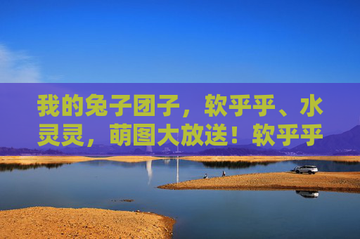 我的兔子团子,软乎乎、水灵灵,萌图大放送!软乎乎水灵灵!我的兔子团子萌图大放送 我的兔子团子,软乎乎、水灵灵,萌图大放送!软乎乎水灵灵!我的兔子团子萌图大放送