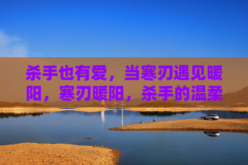 杀手也有爱,当寒刃遇见暖阳,寒刃暖阳,杀手的温柔 杀手也有爱,当寒刃遇见暖阳,寒刃暖阳,杀手的温柔