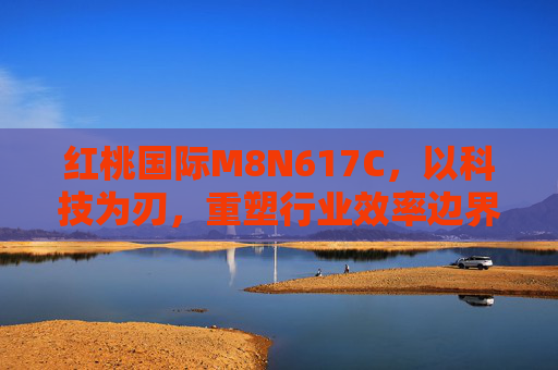 红桃国际M8N617C,以科技为刃,重塑行业效率边界,红桃国际M8N617C,科技为刃,重塑行业效率边界 红桃国际M8N617C,以科技为刃,重塑行业效率边界,红桃国际M8N617C,科技为刃,重塑行业效率边界