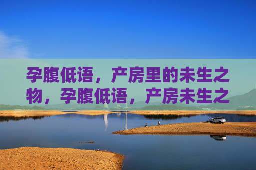 孕腹低语,产房里的未生之物,孕腹低语,产房未生之呢喃 孕腹低语,产房里的未生之物,孕腹低语,产房未生之呢喃