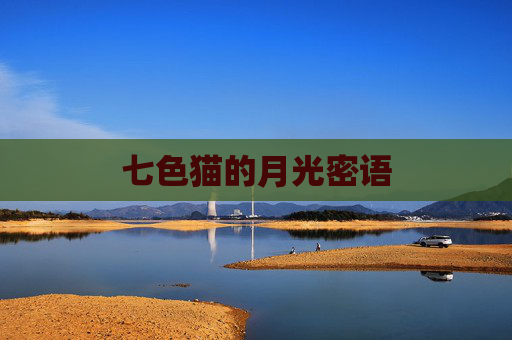 七色猫的月光密语