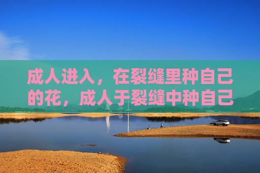 成人进入，在裂缝里种自己的花，成人于裂缝中种自己的花