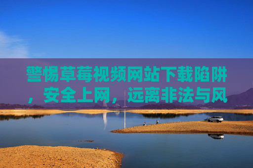 警惕草莓视频网站下载陷阱，安全上网，远离非法与风险，警惕草莓视频下载陷阱，安全上网远离非法风险