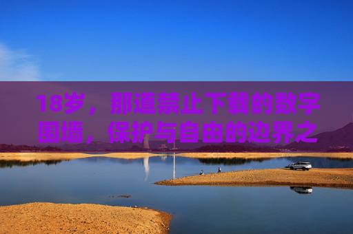18岁,那道禁止下载的数字围墙,保护与自由的边界之争,18岁的数字围墙,保护与自由的边界之争 18岁,那道禁止下载的数字围墙,保护与自由的边界之争,18岁的数字围墙,保护与自由的边界之争