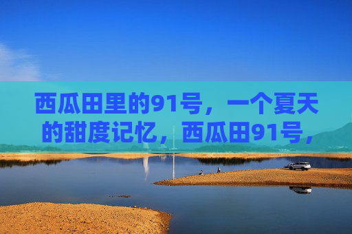 西瓜田里的91号,一个夏天的甜度记忆,西瓜田91号,夏天的甜度记忆 西瓜田里的91号,一个夏天的甜度记忆,西瓜田91号,夏天的甜度记忆